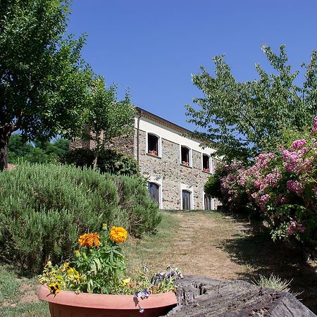 La Rosa Nel Bicchiere ξενώνας Soveria Mannelli Εξωτερικό φωτογραφία
